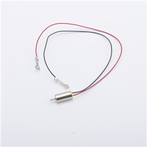 Flourishing - Pinnacle of FM0612 Coreless Motor Artistry in China