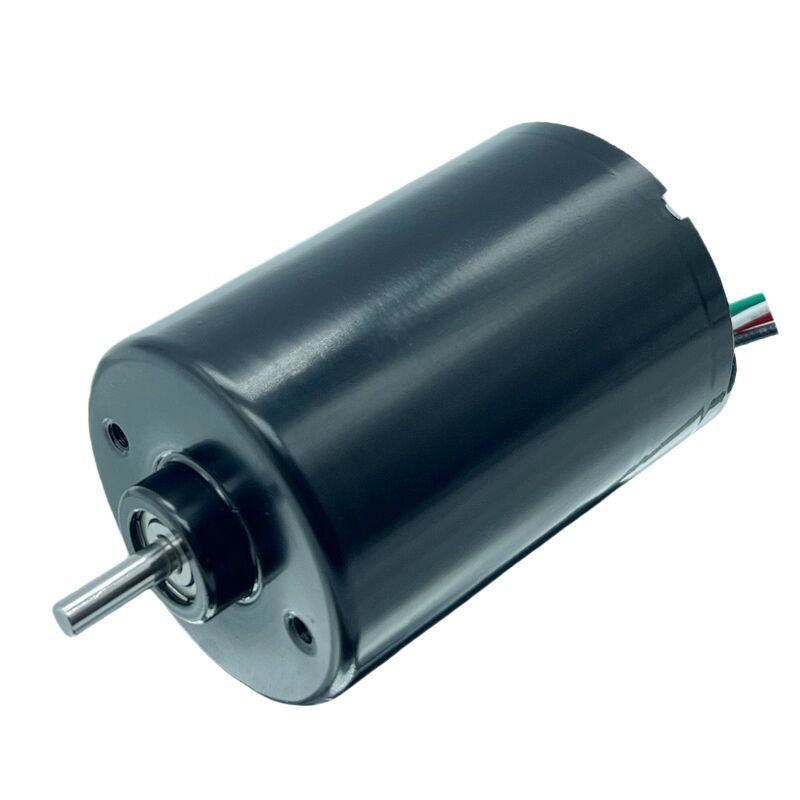 BLDC2838 Miniature Brushless DC Motor with Built in Drive, Long Life and High Torque for Water Pump, Air Pump, Electric Push Shear