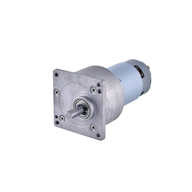 RS775 Micro brushed DC motor with spur gearbox for automation equipment and household appliances