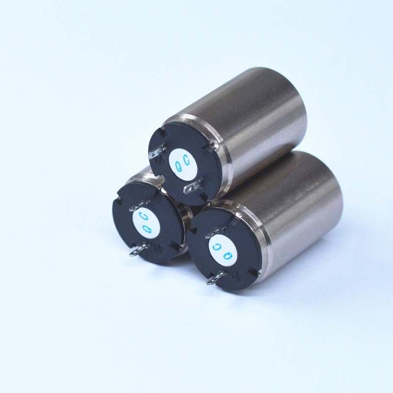 16mm Micro DC Hollow Cup Motor for Embroidery Machine, Polishing Pen, and Medical Machine Equipment