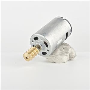 Flourishing's Core DC Motor Expertise