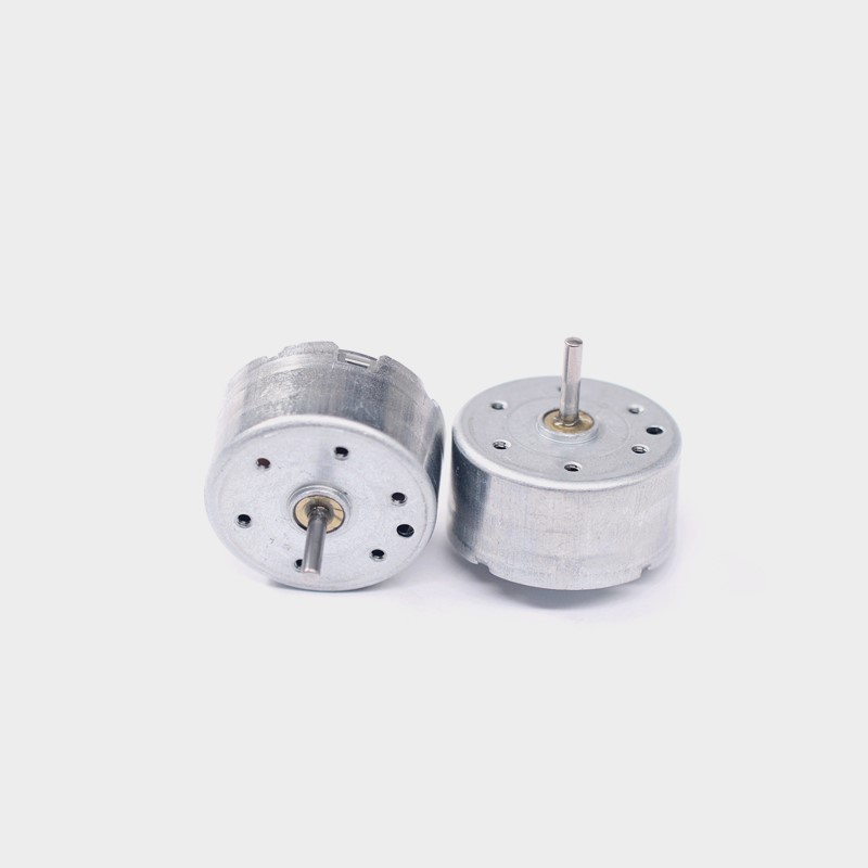 RF300 Micro Motor
