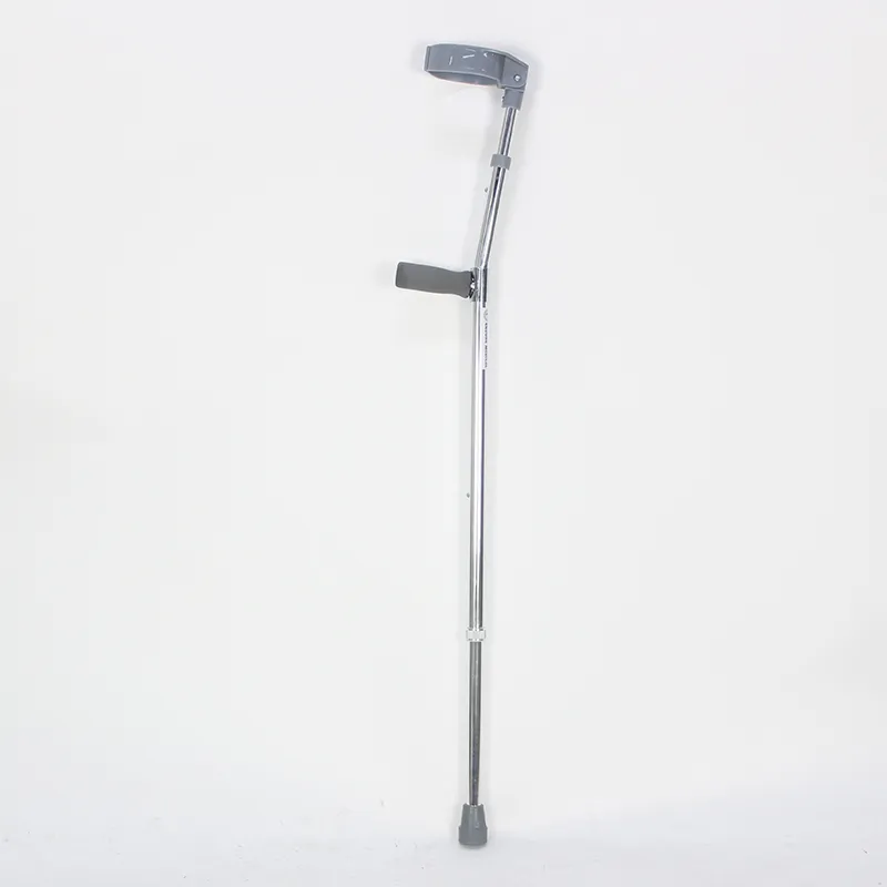 walking stick walking stick