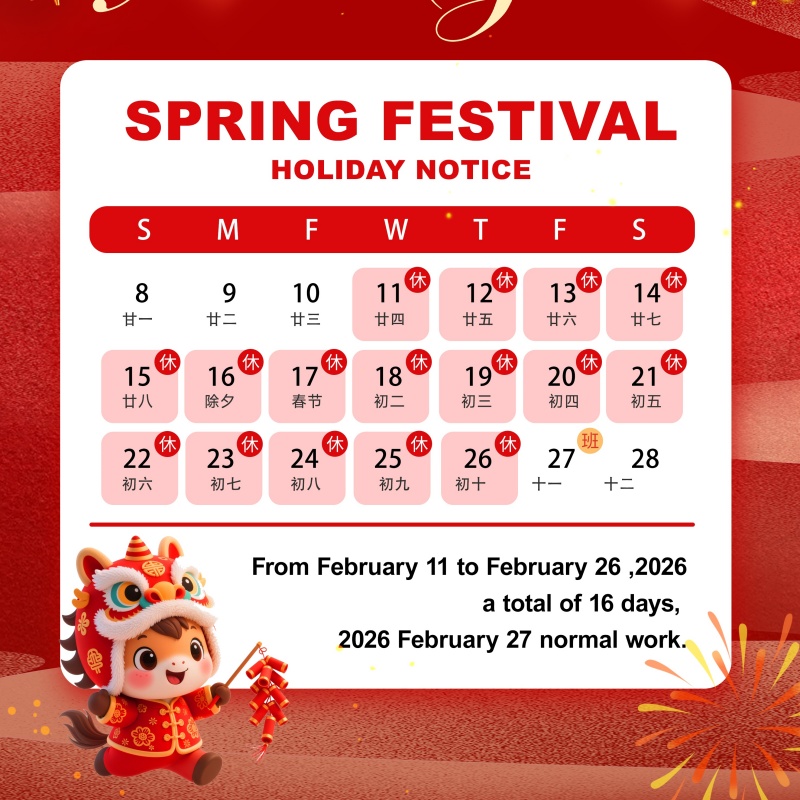 2026 Spring Festival Holiday Notice from Dayang Medical