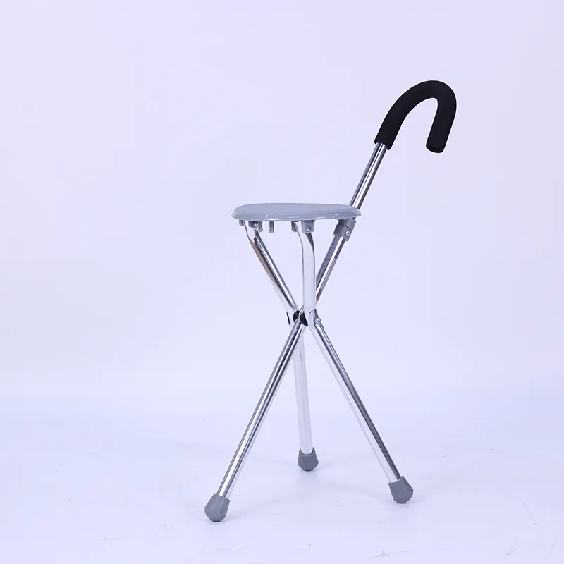 Walking Stick Walking Stick