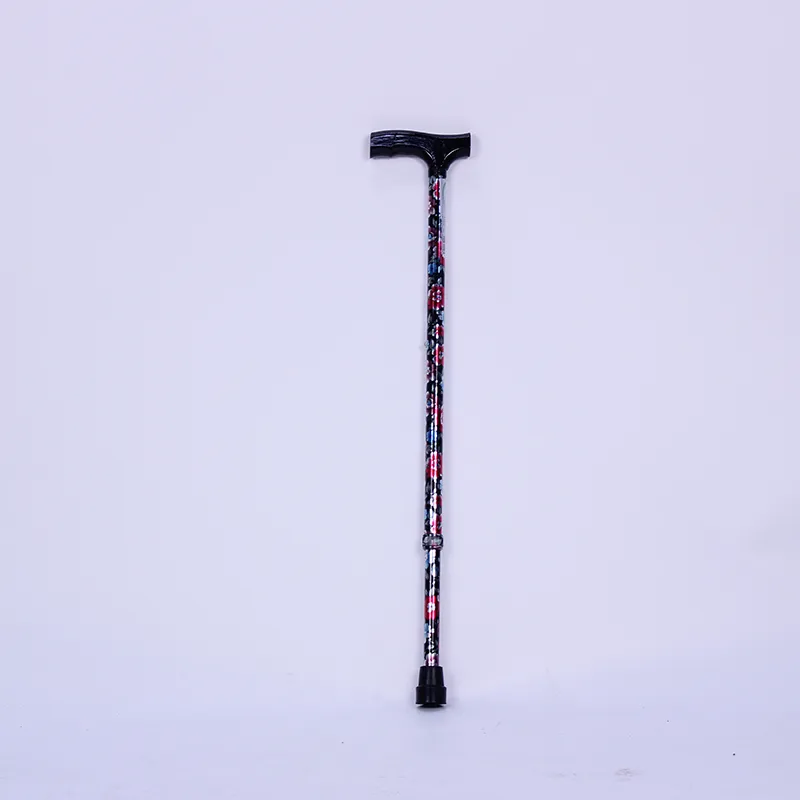 Walking Stick Walking Stick