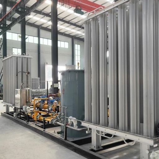 Vietnam Coastal Power Plant Flue Gas Purification Project