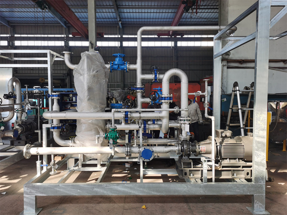 Chemical Process Pump Skid