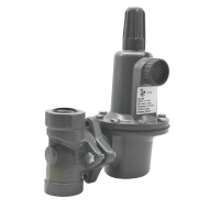 منظم غاز أساسي صناعي ١.٧٢ ميجا باسكال | منافذ DN٥٠ معاهدة حظر الانتشار النووي | تصنيف أمان إس جي 15