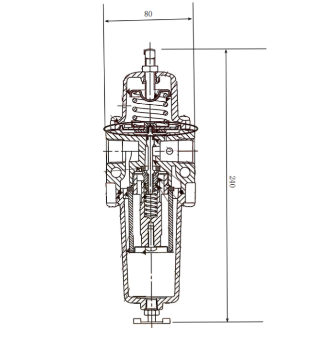 Compact Air Regulator with Gauge -40°C