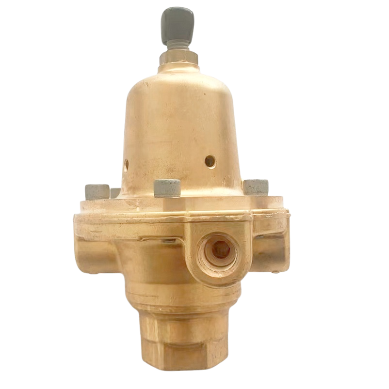 Gas Regulator with Filter Pressure Regulating Valve