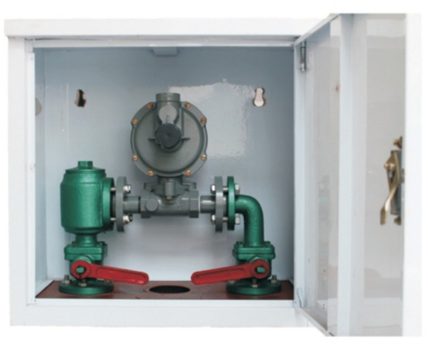 Gas Regulator Box