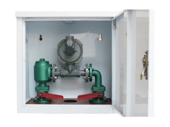 Gas Regulator Box