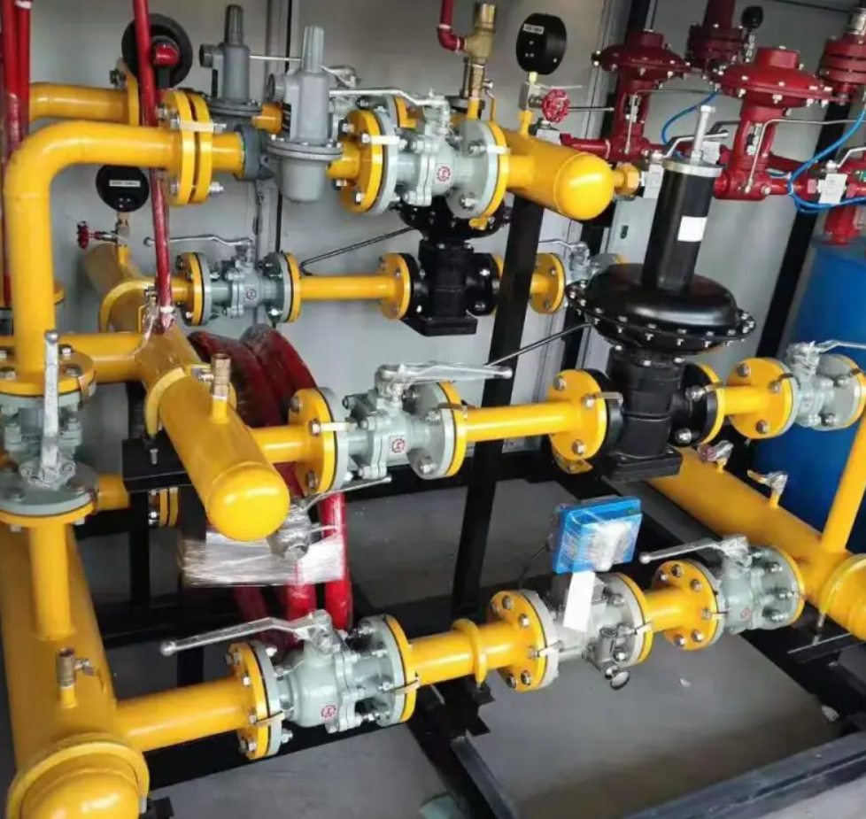 Process Piping skid Design