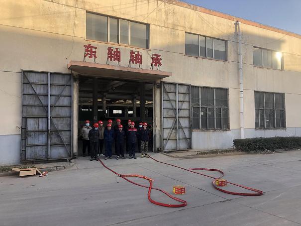 Stile dei dipendenti della fabbrica di cuscinetti DZE