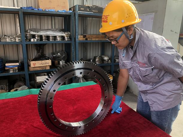 Low Speed Heavy Load Engineering Machinery Ring Bearing