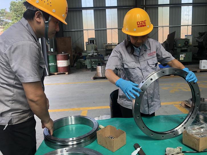 Low Speed Heavy Load Engineering Machinery Ring Bearing
