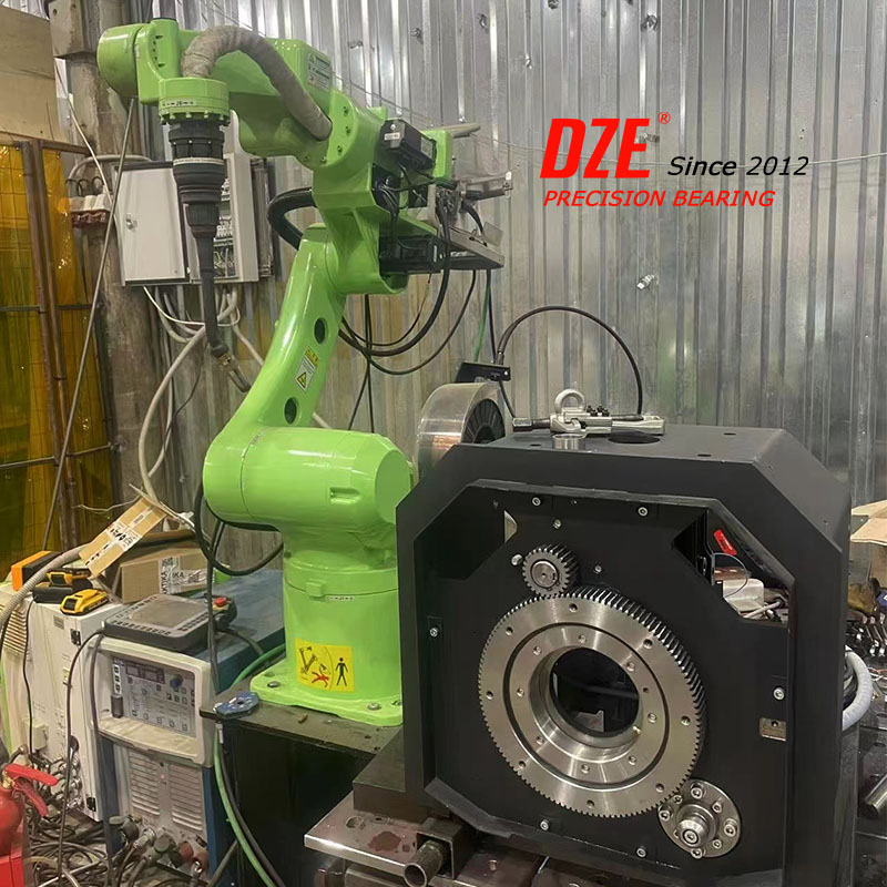 DZE Bearing Ring BEARING