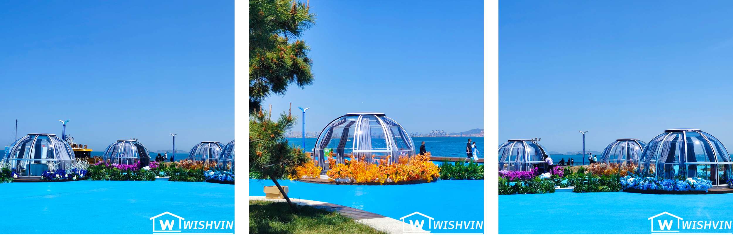 Starry Sunroom Night sightseeing