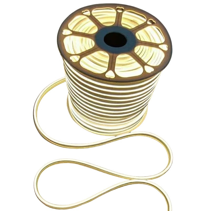 Lumière de corde au néon 220V 240V