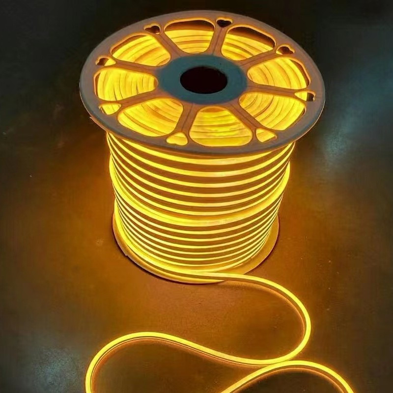 Lumière de corde au néon 220V 240V