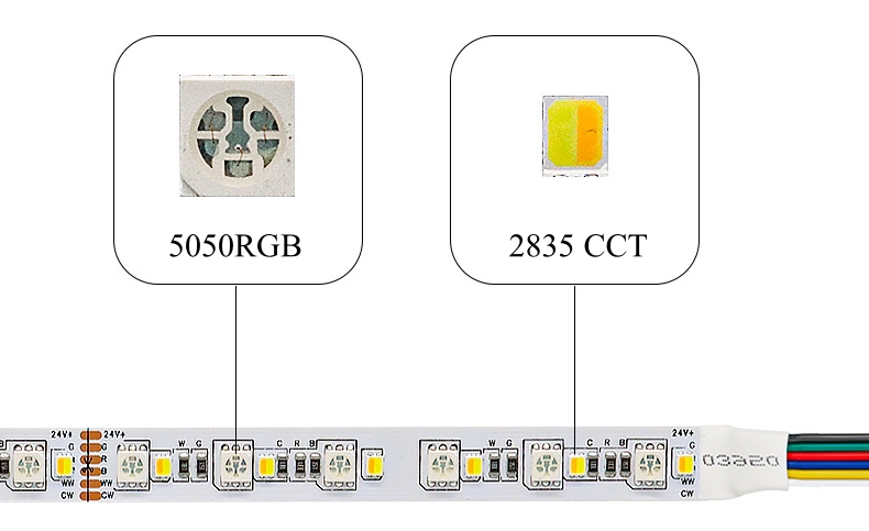 rgb CCT led strip lights supplier