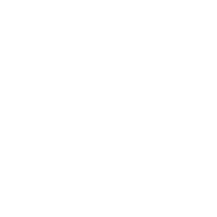 Stir Fry Machine