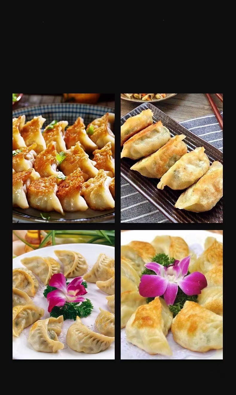 dumpling fryer