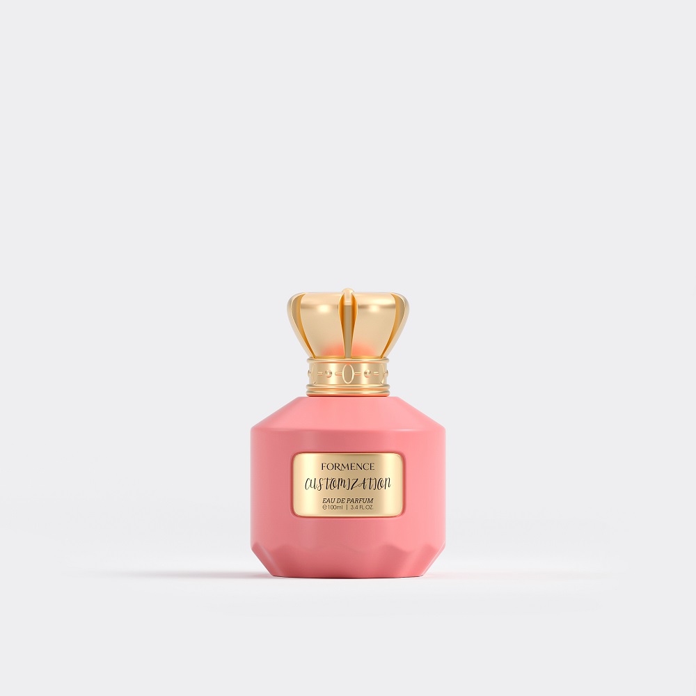 Luxury Fragrance Perfume Bottle Empty Cologne Bottle 100ml Women Perfume Bottle with Box