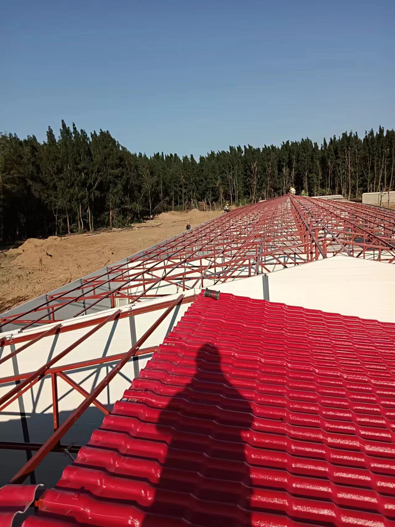 shipping Container House cost