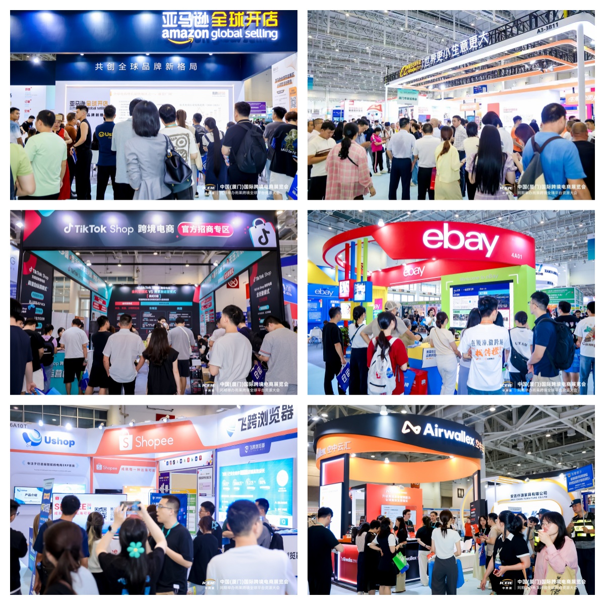 明日开展！2024中跨展最强逛展攻略！