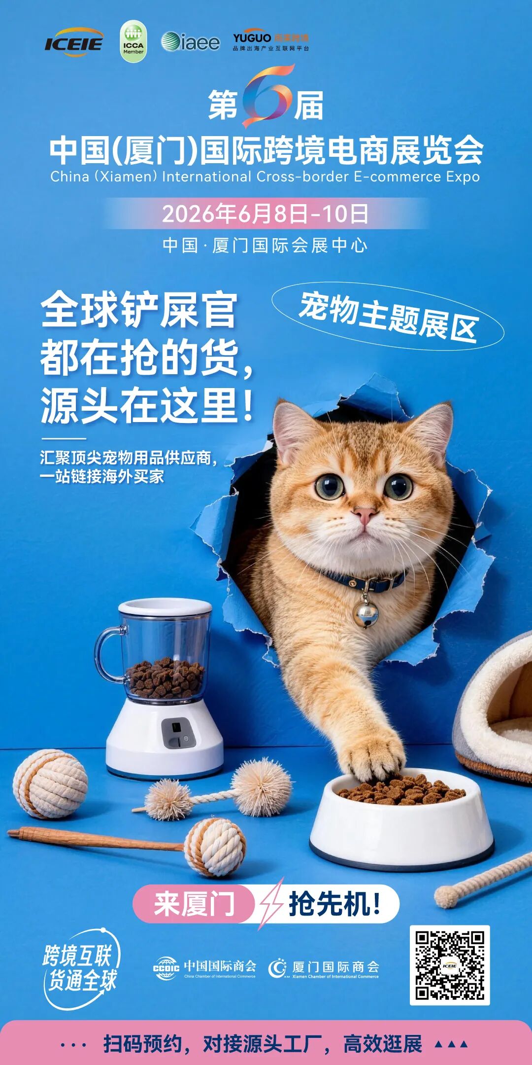 宠物用品出海
