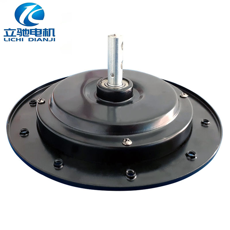 Fan Lamp Motor Ceiling Fan Motor DC Brushless 24V 12V