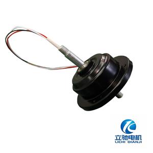 variable speed drive motor