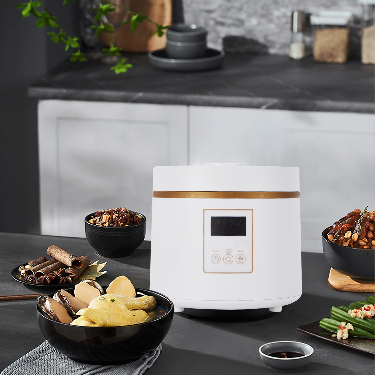 Zhongshan SY Electronics lancia la cuociriso da 2 litri per mantenere caldo il riso