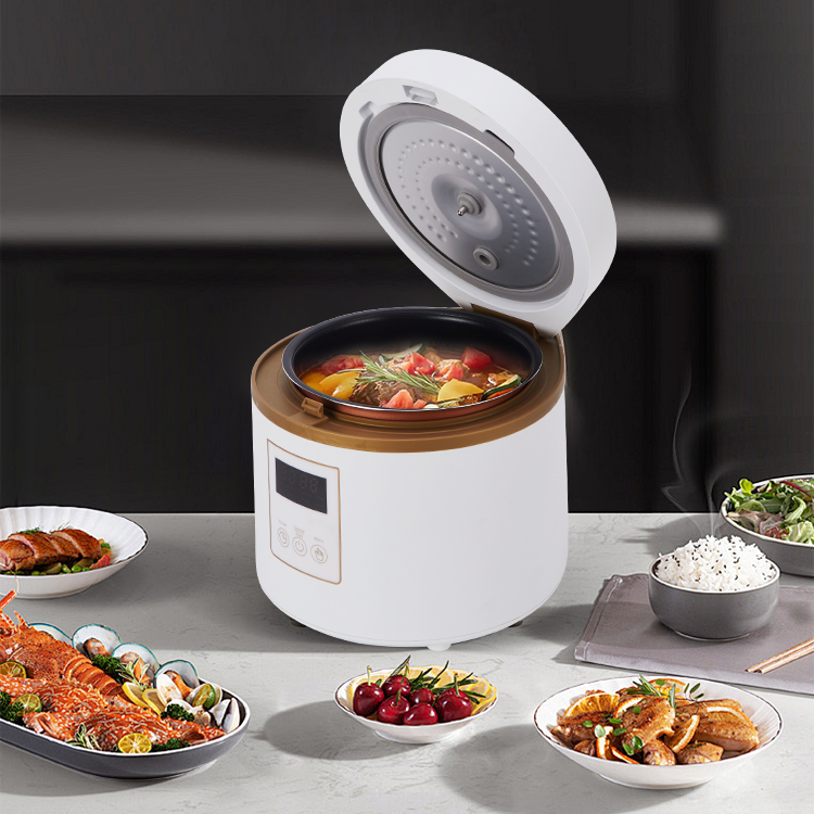 Mini cuociriso Pro | Accessorio essenziale per la cucina intelligente