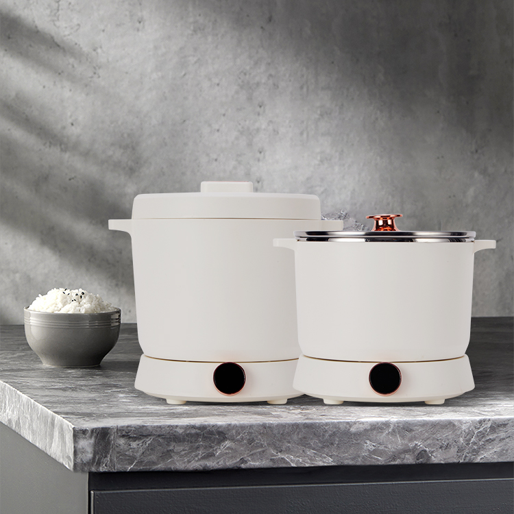 Presentazione della cuociriso multifunzione 2 in 1 Delicious Cooking