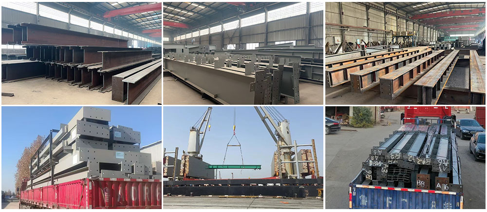 prefabricated-galvanized-steel-structure-chicken-house