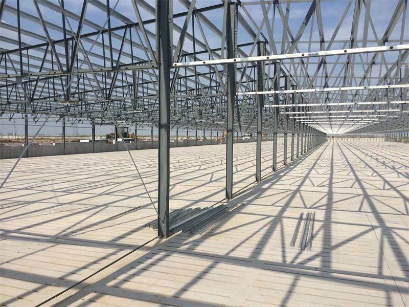 Prefabricated galvanized steel structure chicken house