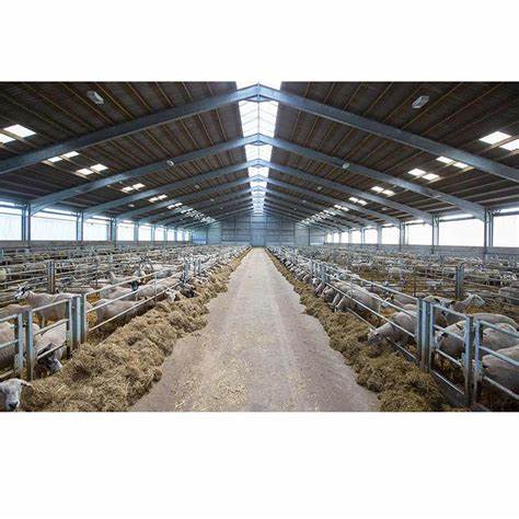 Prefabricated galvanized steel structure chicken house