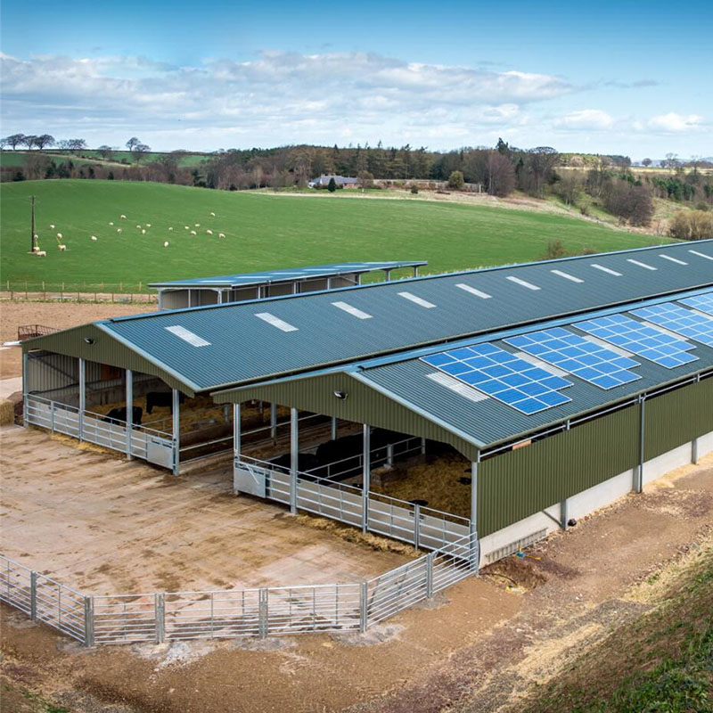 Prefabricated galvanized steel cowshed