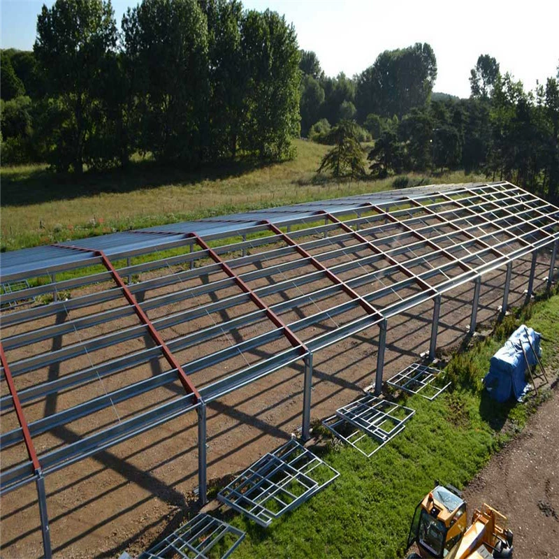 Prefabricated galvanized steel structure chicken house