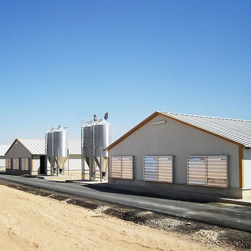 Prefabricated steel structure pig house factory warehouse Light steel structure poultry farm