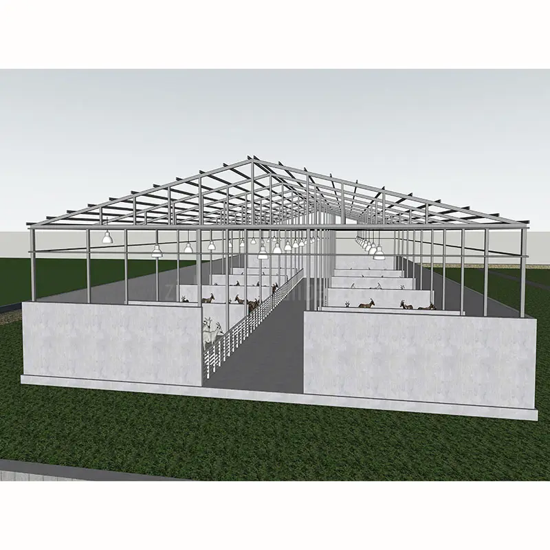 Prefabricated galvanized steel structure chicken house