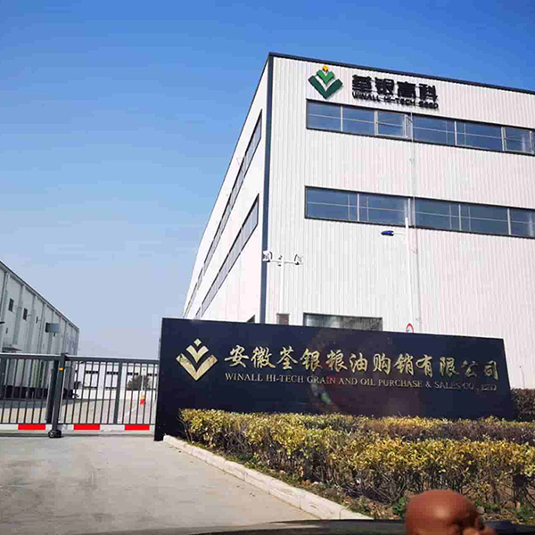 Jialong Technology Sets New Benchmark in Smart Manufacturing, Launching a New Era for Automated Packaging with Anhui Winall Hi-Tech Grain & Oil