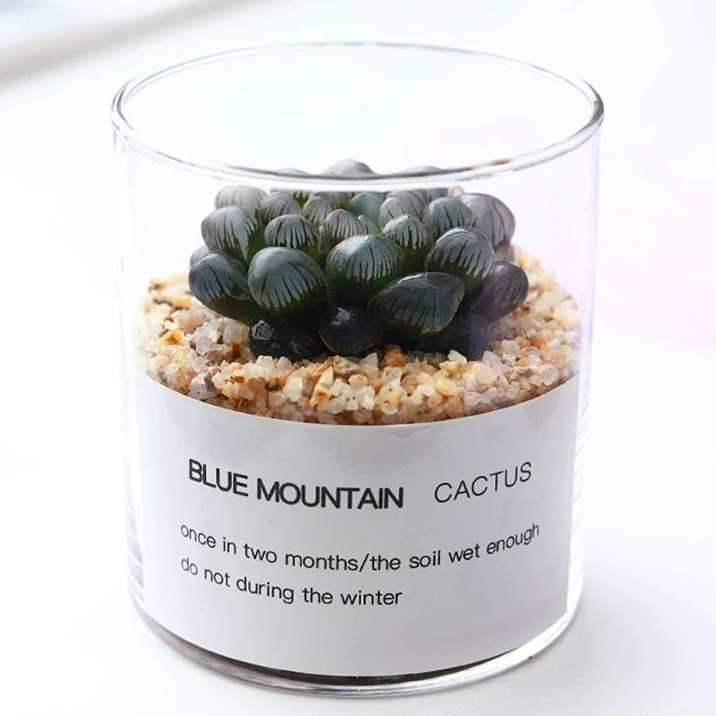 Mini Clear Glass Tube Candle Vases