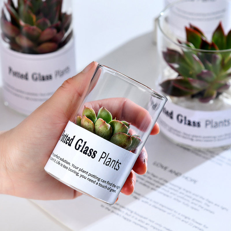 Mini Clear Glass Tube Candle Vases