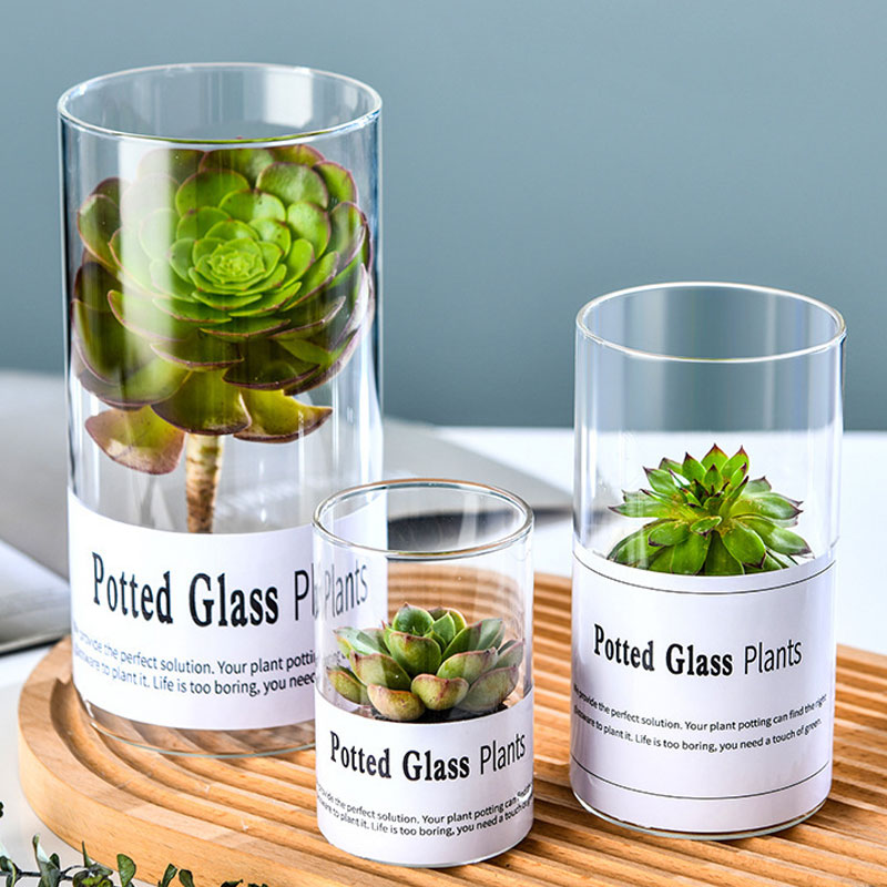 Mini Clear Glass Tube Candle Vases