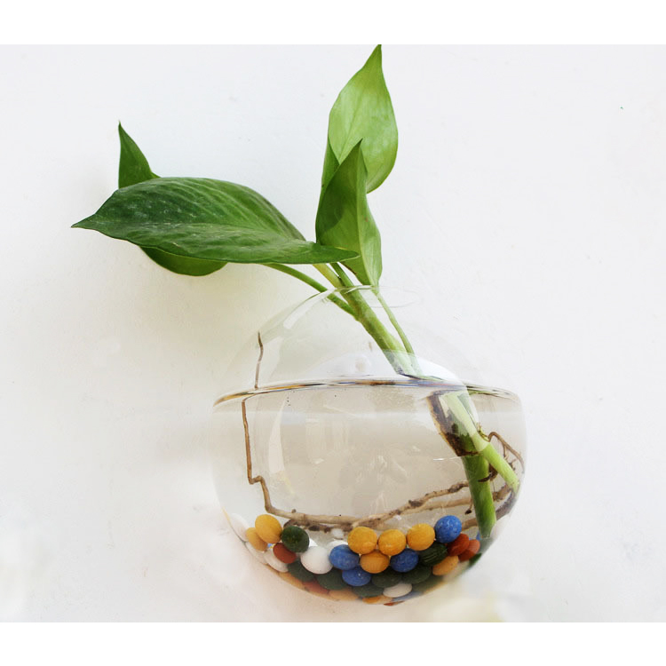 Round Oval Glass Wall Vase