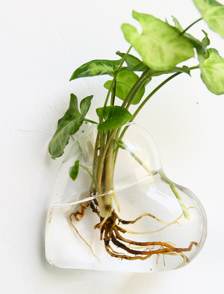 Round Oval Glass Wall Vase